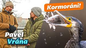 Rozhovory s ichtyologem Ing. Pavlem Vránou, Ph.D.